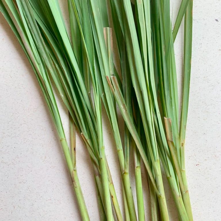 lemon grass purge