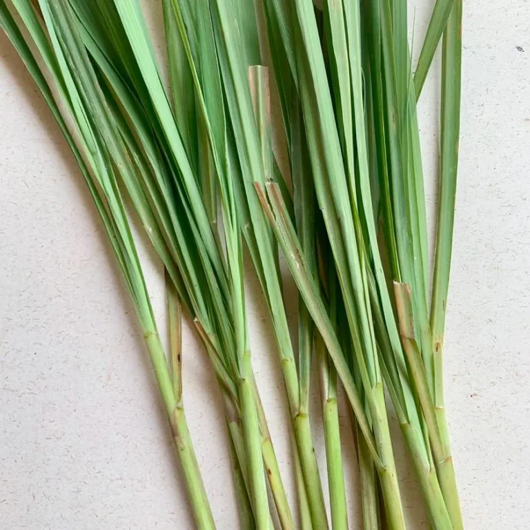 lemon grass purge