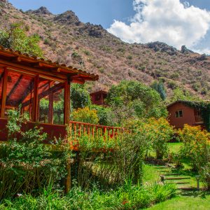 Ayahuasca Retreats 2026