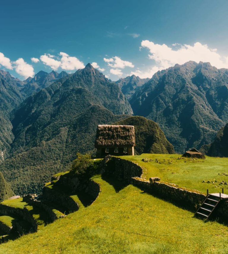 seven retreats ayahuasca